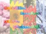  土地