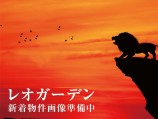  土地