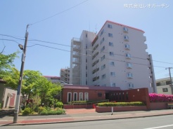市川市市川南２丁目