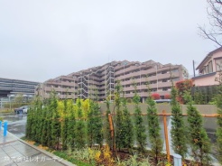 船橋市飯山満町３丁目