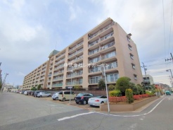 市川市福栄３丁目