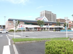 佐倉市臼井台
