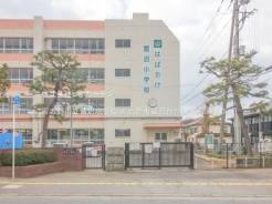 習志野市鷺沼台３丁目