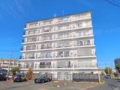 市川市福栄４丁目