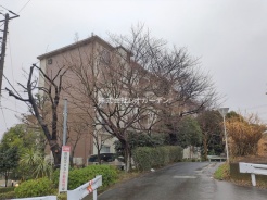 船橋市西船２丁目