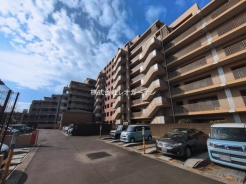 鎌ケ谷市東道野辺３丁目