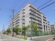 千葉県市川市市川南 