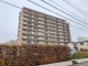 千葉県船橋市海神町西 