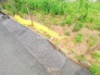 現地土地写真