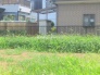 現地土地写真