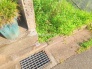現地土地写真