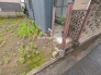 現地土地写真