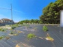 現地土地写真