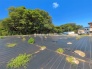 現地土地写真