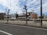 保育園