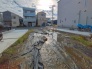 現地土地写真