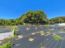 サブ画像2