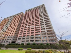 市川市市川南3丁目