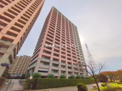 市川市市川南3丁目