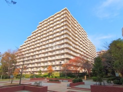 浦安市美浜1丁目