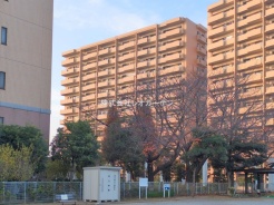 船橋市習志野5丁目