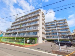 市川市湊新田2丁目