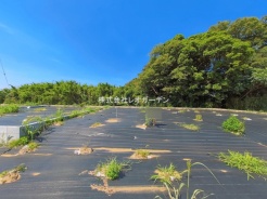 習志野市実籾2丁目