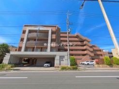 市川市福栄3丁目