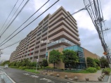マンション