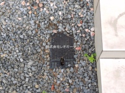 葛飾区細田4丁目