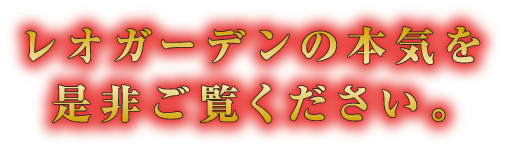 レオガーデンの本気を是非ご覧ください。